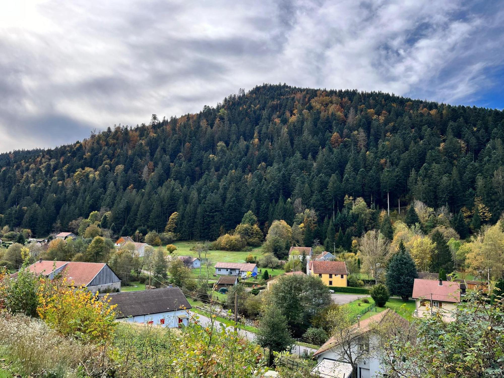 Des Roches -